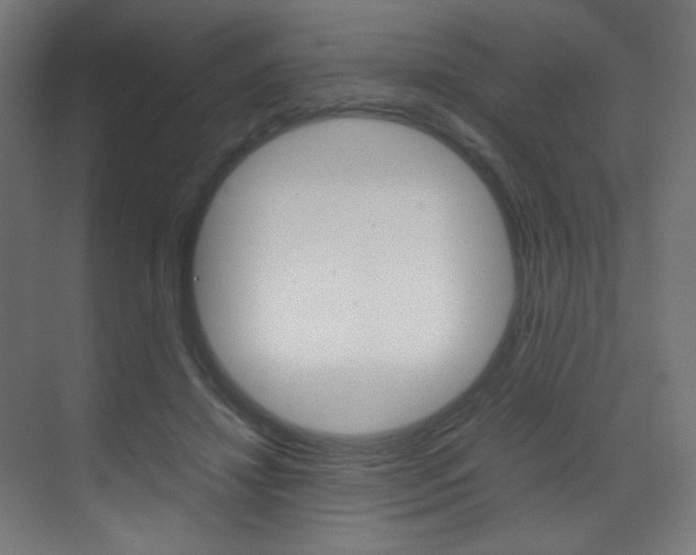 X0000070170452200605261009