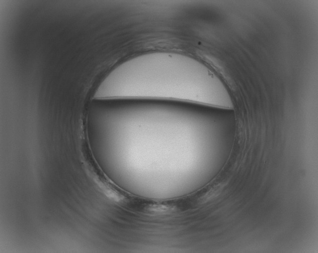 X0000070170453200605261009