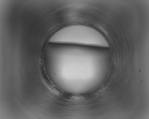X0000070170455200605261009