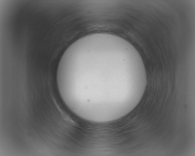 X0000070170456200605261009