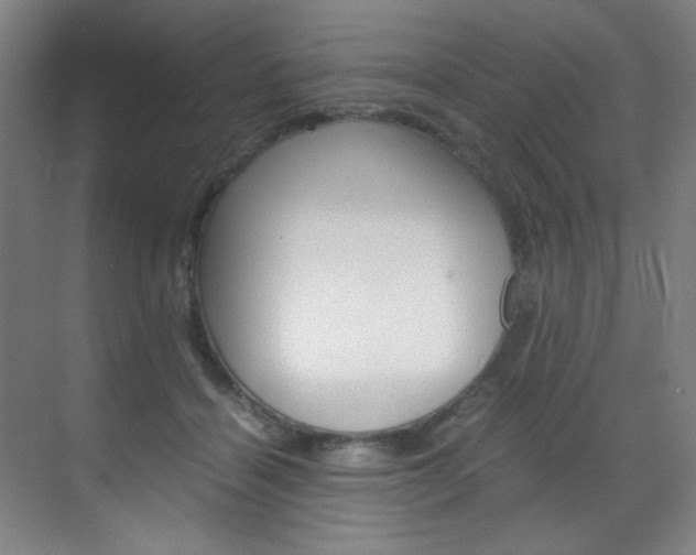 X0000070170460200605261009