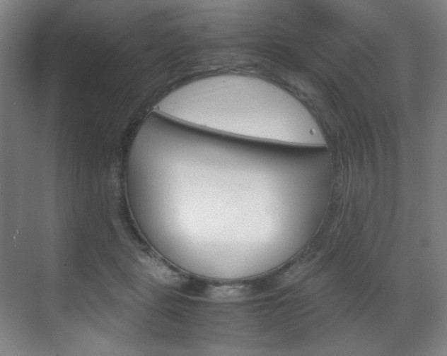 X0000070170461200605261009