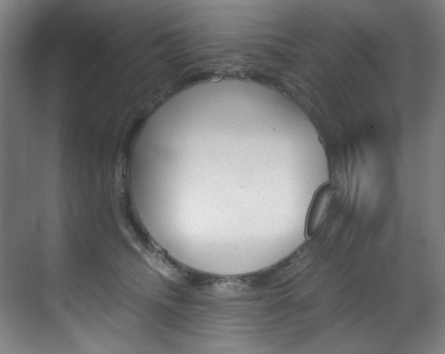 X0000070170468200605261009