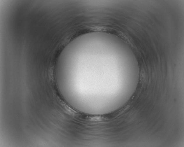 X0000070170473200605261009