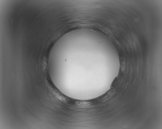 X0000070170476200605261009