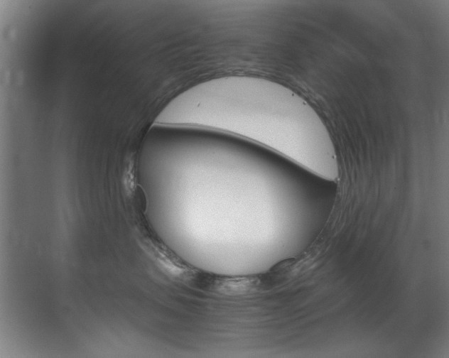 X0000070170479200605261009