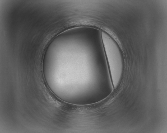 X0000070170481200605261008