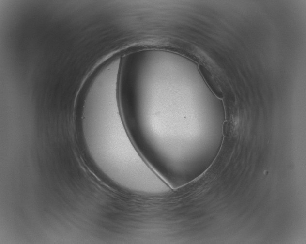 X0000070170484200605261008