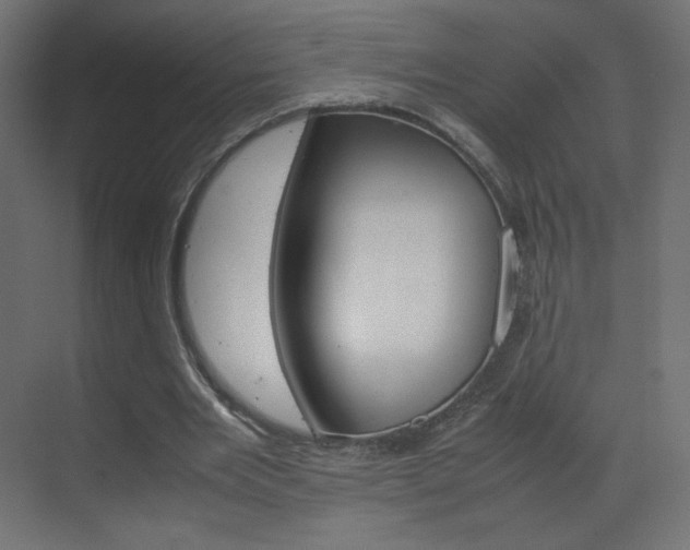 X0000070170485200605261008