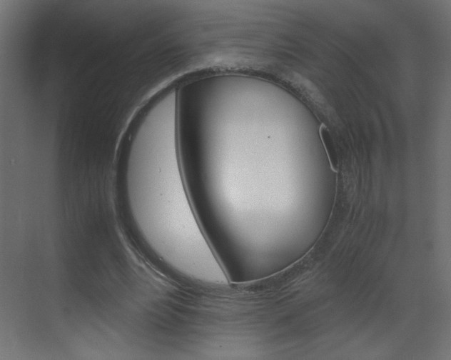 X0000070170488200605261008
