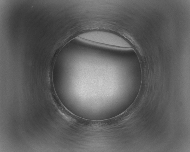X0000070170489200605261008