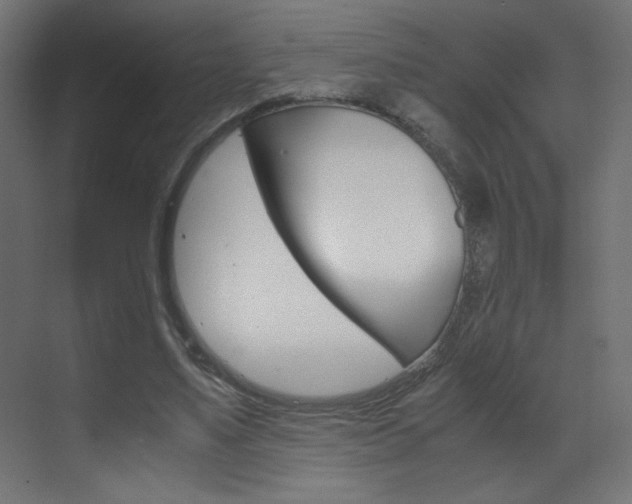 X0000070170491200605261008