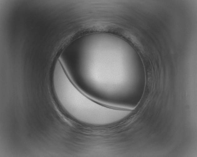 X0000070170493200605261008