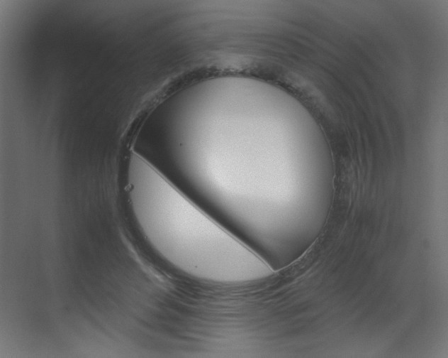 X0000070170496200605261008