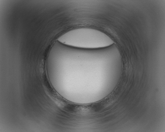 X0000070170498200605261008