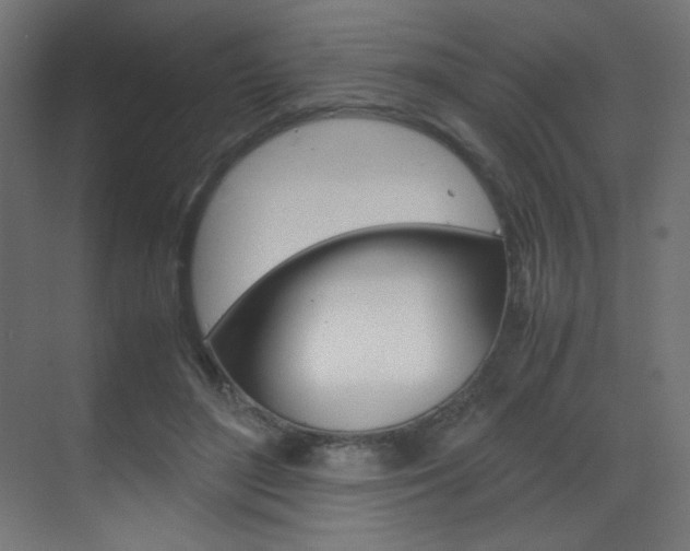 X0000070170500200605261008