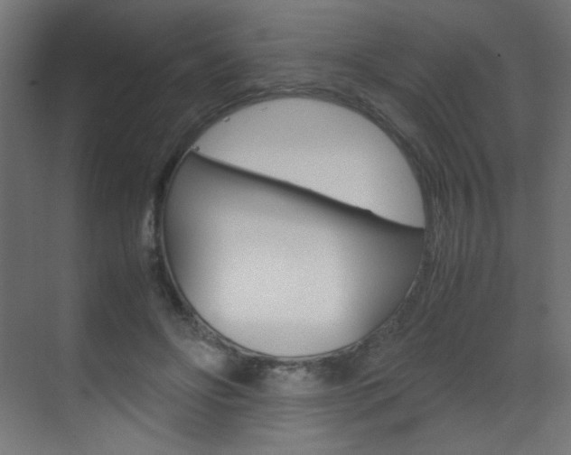 X0000070170502200605261008