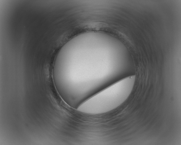X0000070170504200605261008