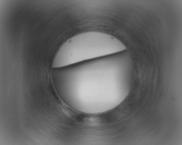 X0000070170506200605261008