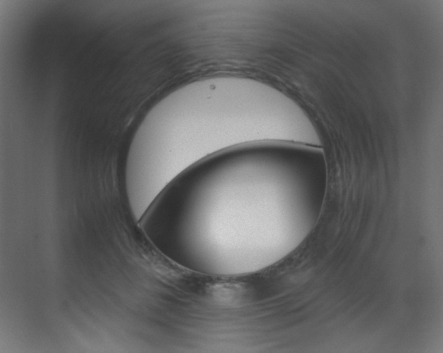 X0000070170508200605261008