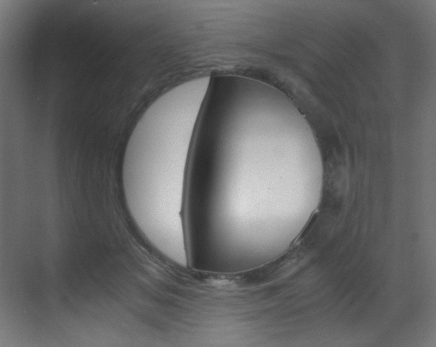 X0000070170509200605261008