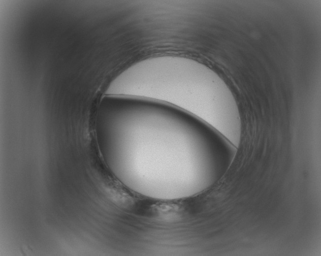 X0000070170512200605261008