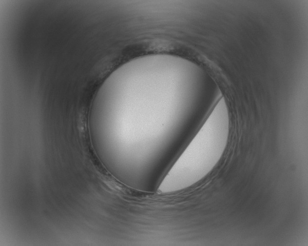 X0000070170517200605261008