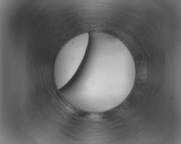 X0000070170518200605261008