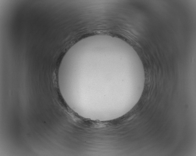 X0000070170523200605261008