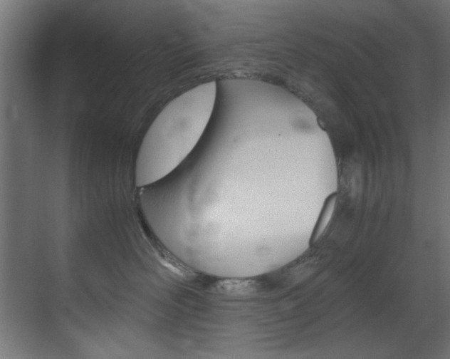 X0000070170526200605261008