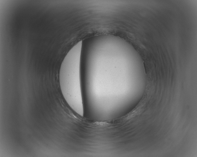 X0000070170528200605261008