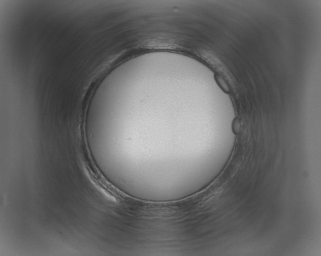 X0000070170533200605261007