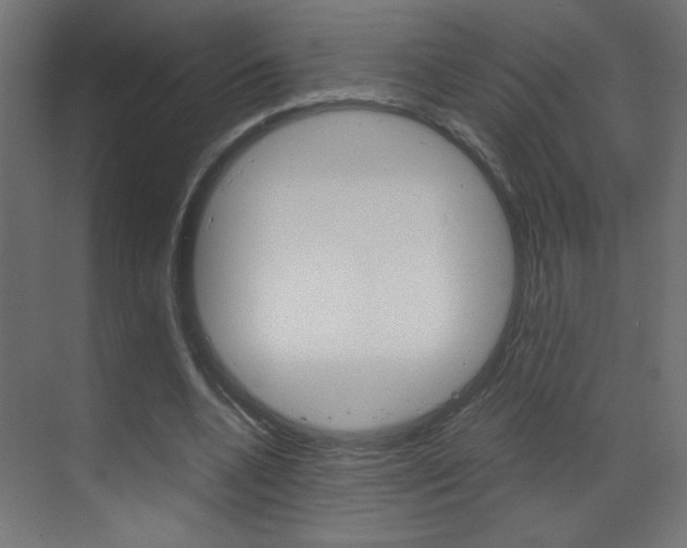 X0000070170536200605261007