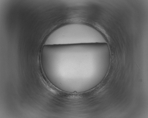 X0000070170537200605261007
