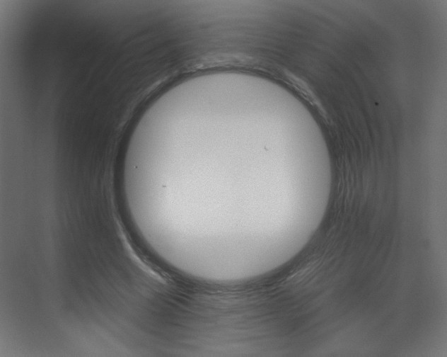 X0000070170538200605261007