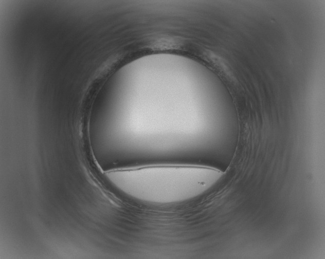 X0000070170539200605261007