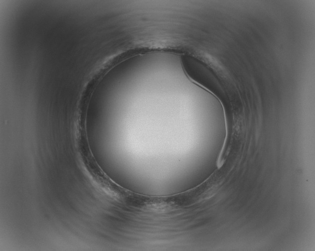 X0000070170540200605261007