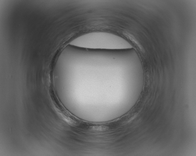 X0000070170541200605261007