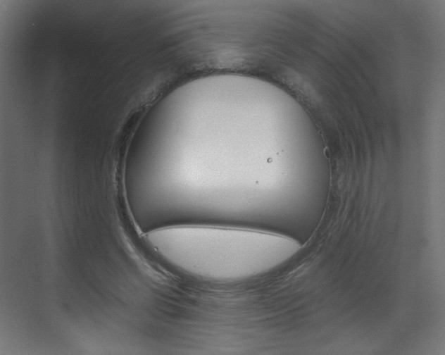 X0000070170542200605261007