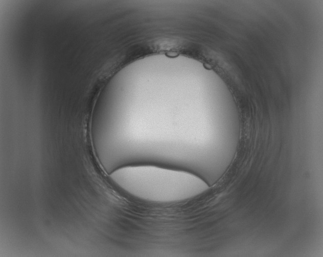 X0000070170545200605261007