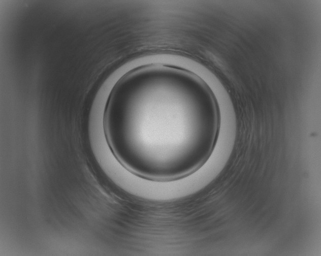 X0000070170548200605261007