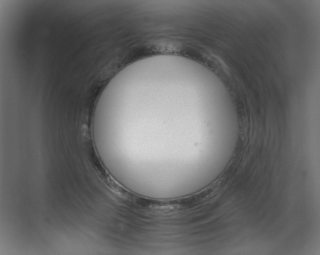 X0000070170553200605261007
