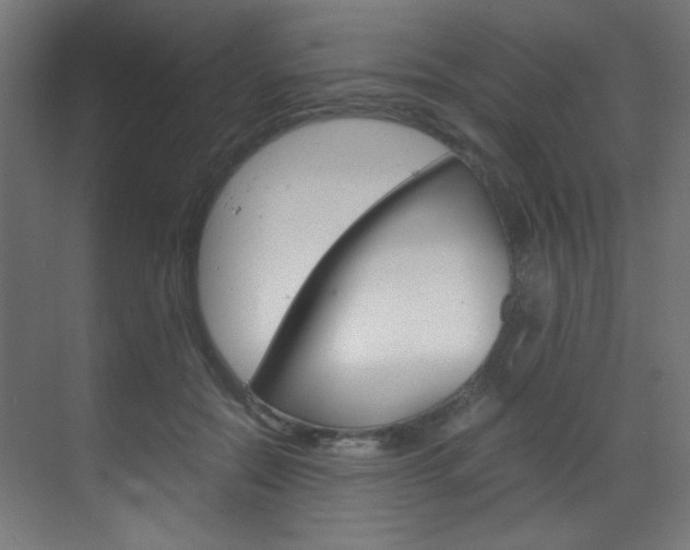 X0000070170554200605261007