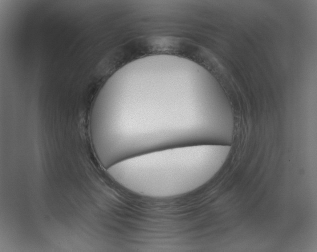 X0000070170557200605261007