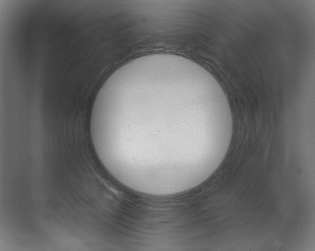 X0000070170564200605261007