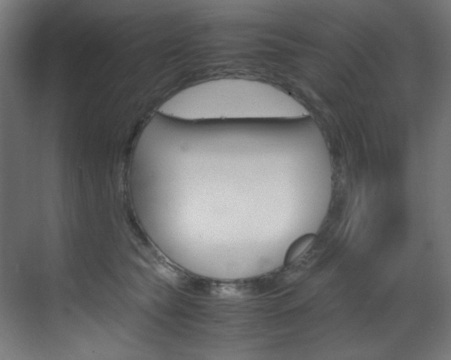 X0000070170565200605261007