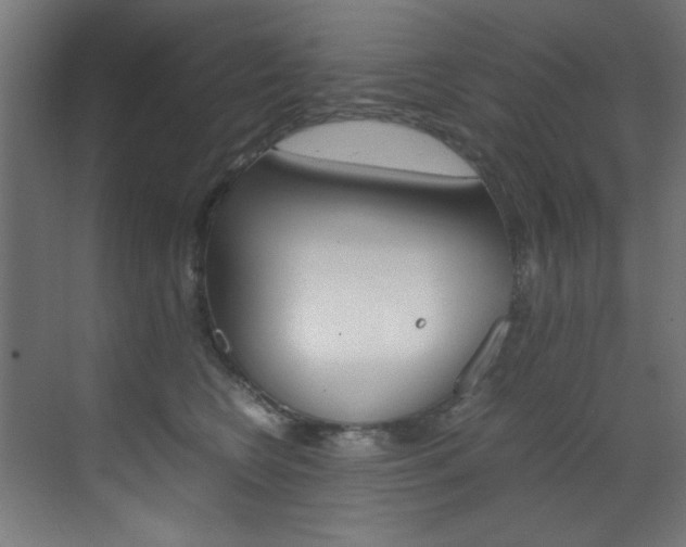 X0000070170566200605261007