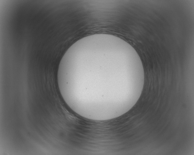 X0000070170570200605261007