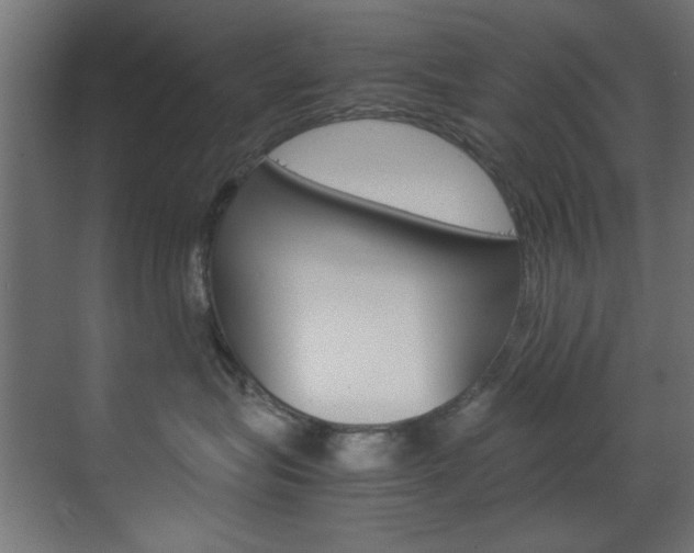 X0000070170575200605261007