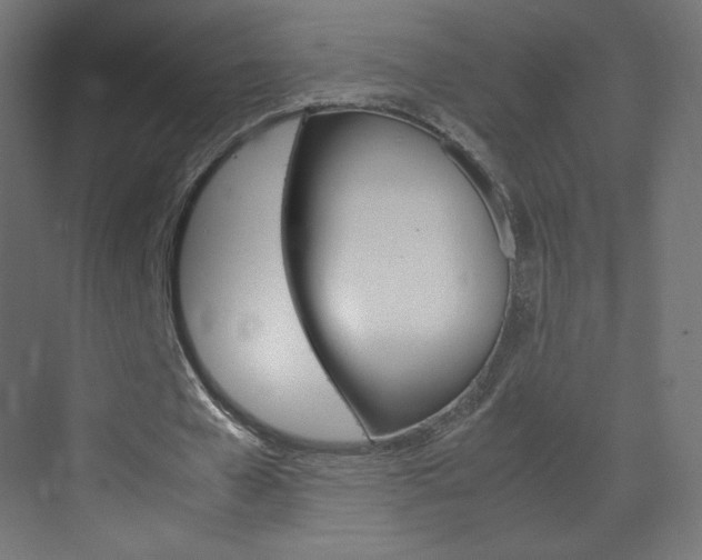 X0000070170577200605261007